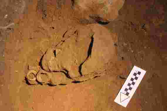 考古学家发现最古老的已知的尸检钩