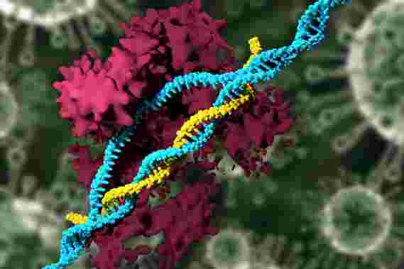 研究人员使用CrispRup携带的纳米粒子来编辑基因组