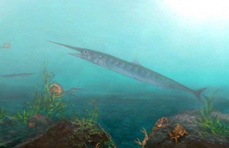 古生物学家发现从未见过古老的鱼类