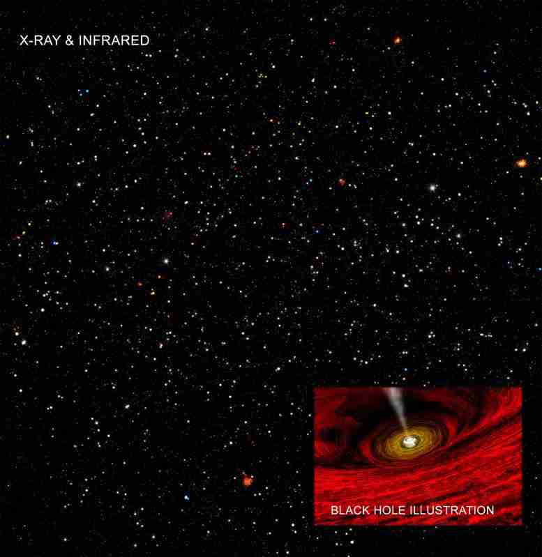 Chandra揭示了难以捉摸的中间质量黑洞的关键证据