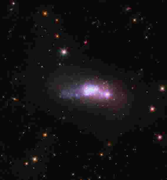 本周的哈勃图像 - 蓝色紧凑矮星galaxy eso 338-4