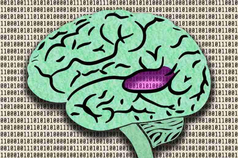 机器学习系统复制人类听觉行为，预测脑反应