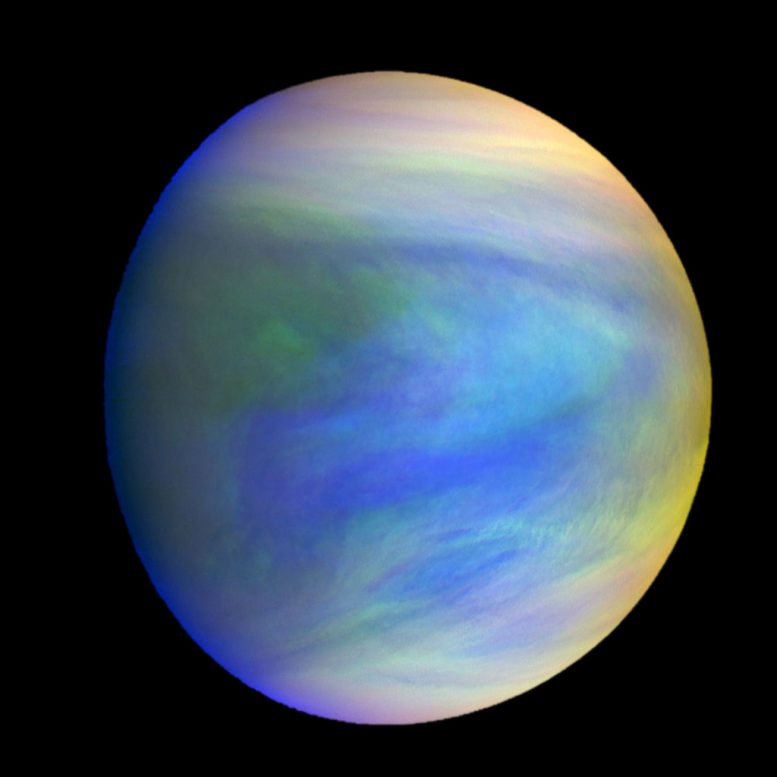 金星的云可能有利于微生物生活的条件