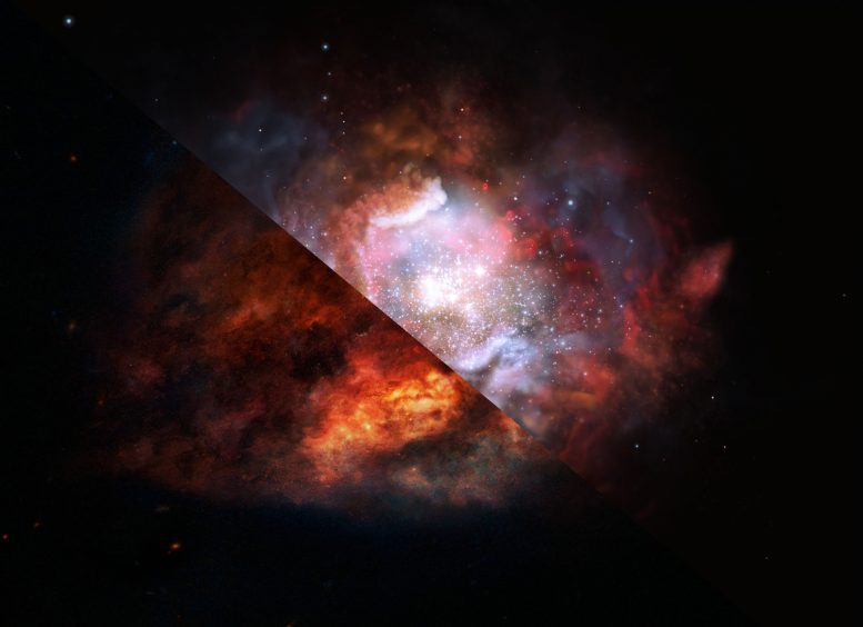 Starburst Galaxies含有更高的大型恒星比例