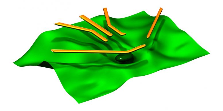 机器学习自动测量和控制QUBITS