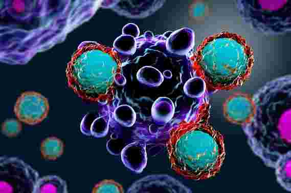 免疫癌症？工程化杀手T细胞可能是关键。