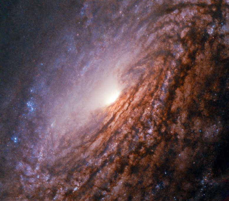 本周的哈勃图像 - 羽毛螺旋星系NGC 5033