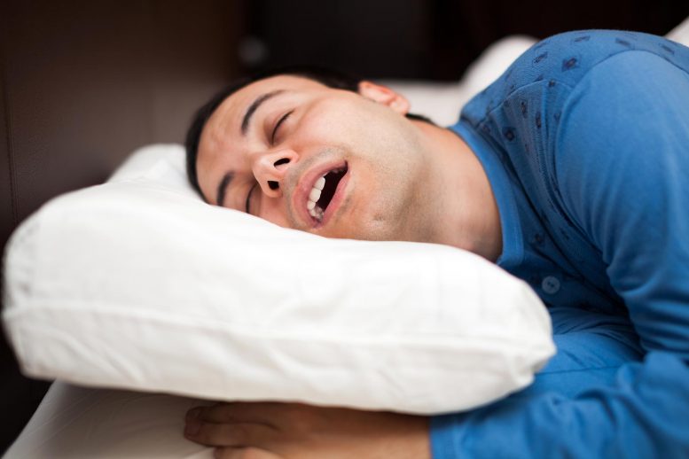 大脑可能会在梦想睡眠期间积极忘记以防止信息过载