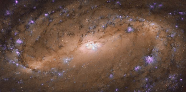 哈勃望远镜欣赏令人惊叹的螺旋星系NGC 2903