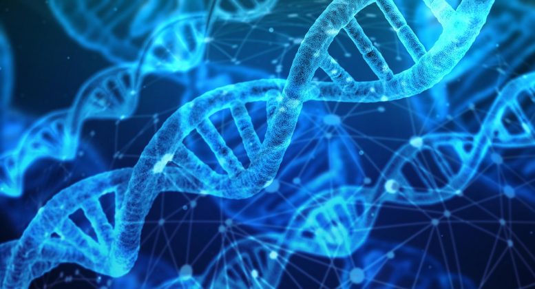 科学家发现DNA甲基化的谜