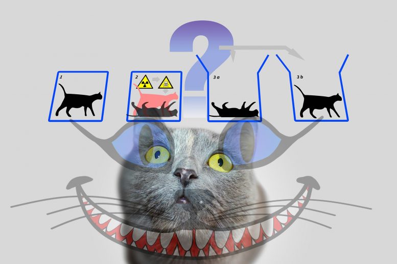 COLLING量子猫：从柴郡猫到Schrodinger的猫