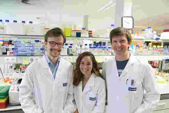 干细胞研究人员重新激活实验室中的“备用基因”追求Rett综合征治疗