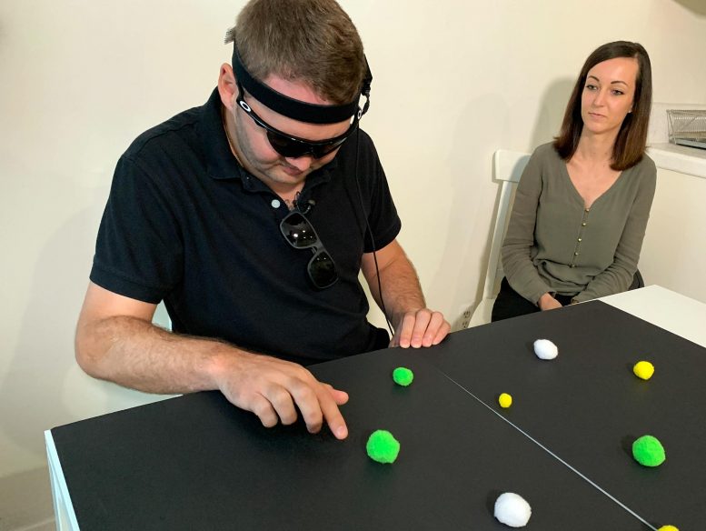 实验脑植入物恢复对盲人的视觉感知[视频]