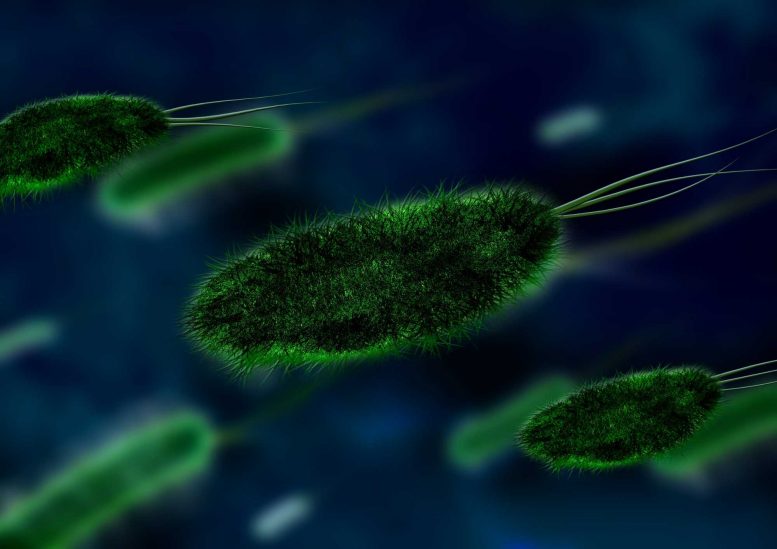 微生物适合生活在几个世纪的食物上