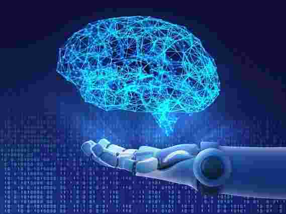神经科学家：下一代人工智能的动物脑子