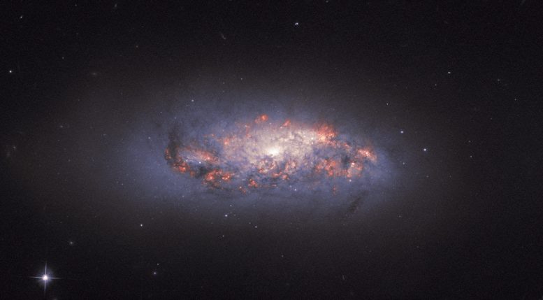 Hubble观看螺旋星系NGC 972的玫瑰般的绽放
