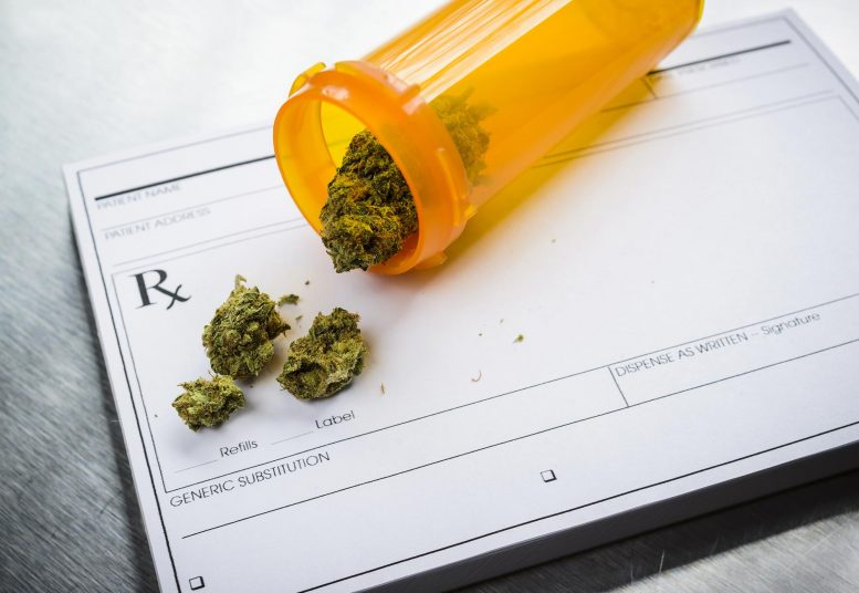 在医疗罐合法化后，马萨诸塞州儿童的大麻相关毒药控制呼吁140％增加