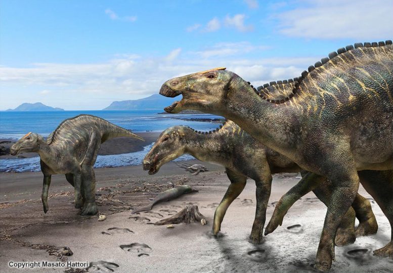 从日本有史以来最大的恐龙骨骼中鉴定出恐龙的新属和种