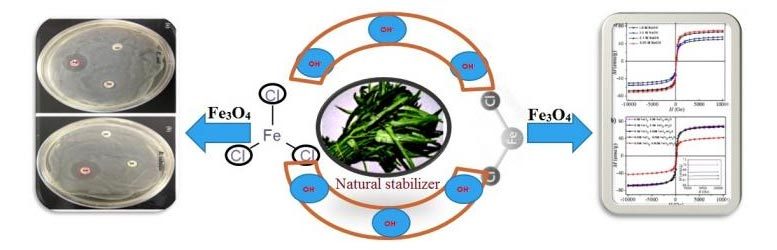 合成氧化铁纳米粒子的新型环保方式