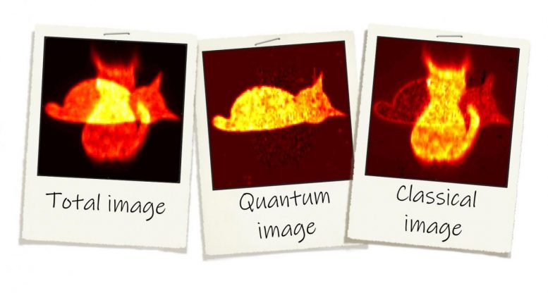 新量子增强显微镜提取隐藏量子信息