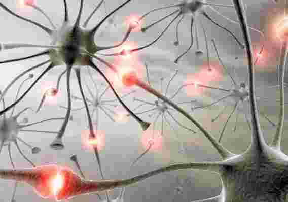 新理论说只有涉及“ L5p神经元”的大脑活动才能进入意识