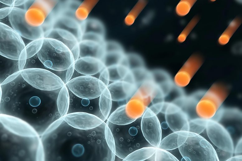 细胞是如何形成数十年前的？科学家识别可能是地球上生命的关键的分子。
