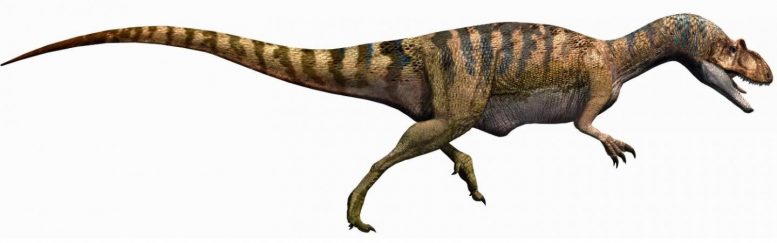 恐龙足迹表明，侏罗纪野兽小跑了非洲和欧洲