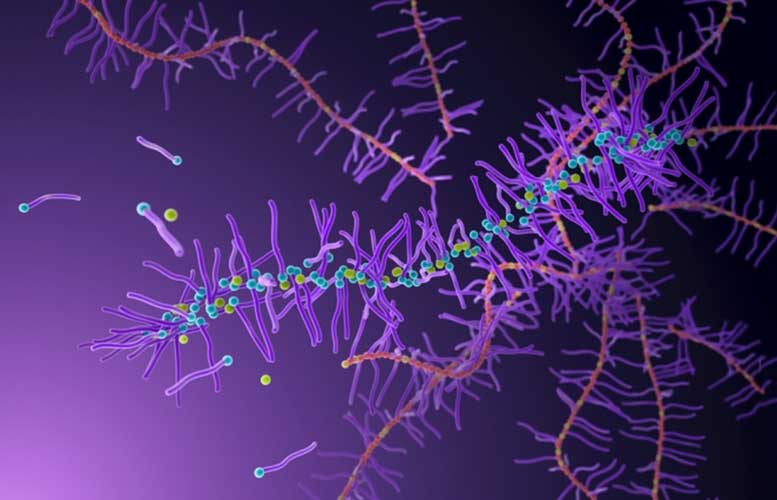 麻省理工学院化学家合成的可降解聚合物–会在体内分解