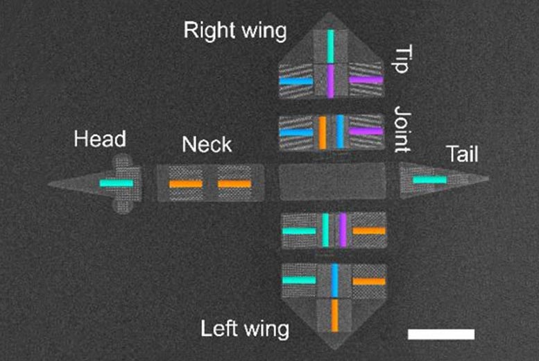 智能微管突破 - 微观的“鸟”襟翼使用纳米磁珠翅膀