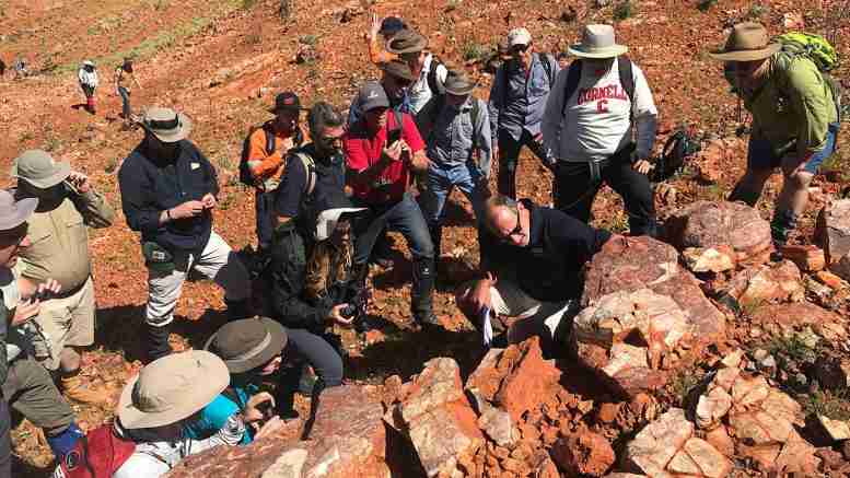 搜索陆地生活，以澳大利亚的探险队夺走火星科学家