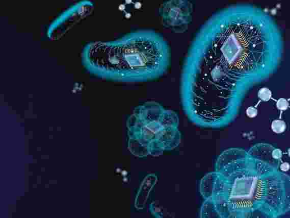 新的基因工程工具解锁微生物中的生化宝箱