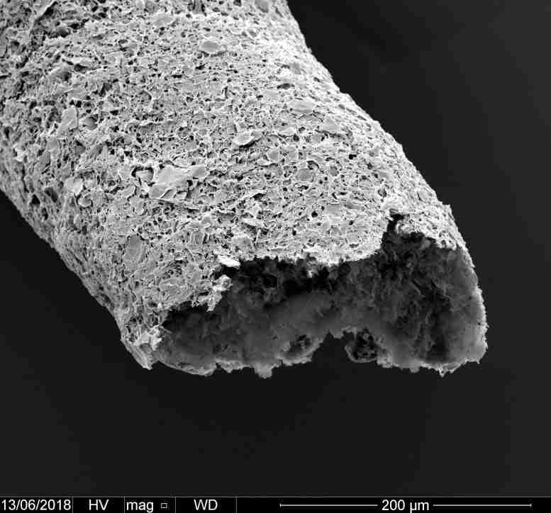 自组装生物材料发现可实现组织样血管结构的3D打印