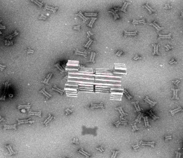 科学家创造了由DNA制成的合成纳米孔
