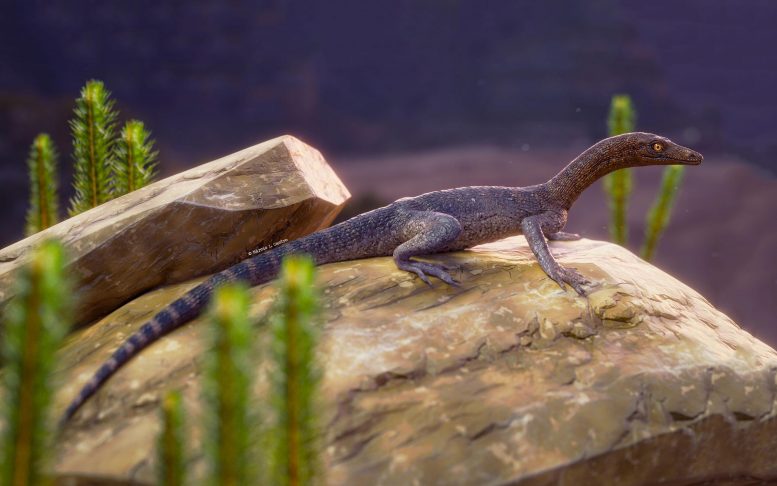 从巴西新化石中发现神秘的食神兽类爬行动物的线索