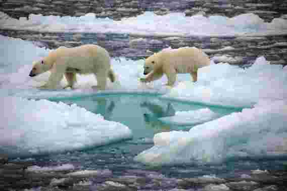 很快北极将在夏天免费获得冰