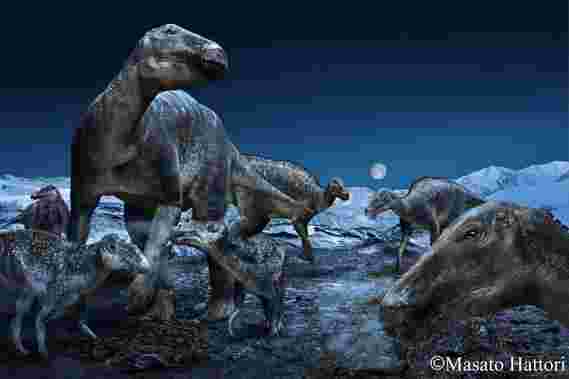 北极Edmontosaurus再次生活：新看看“白垩纪的北美驯鹿”