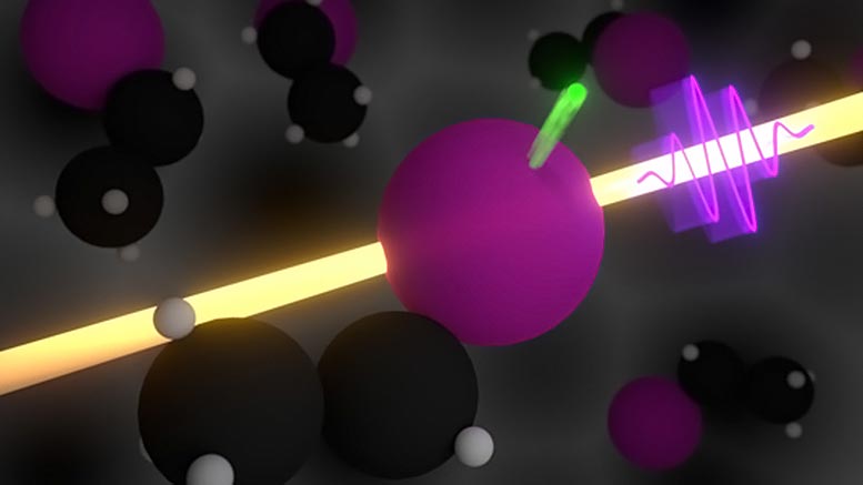 量子制动器以了解分子内的作用力