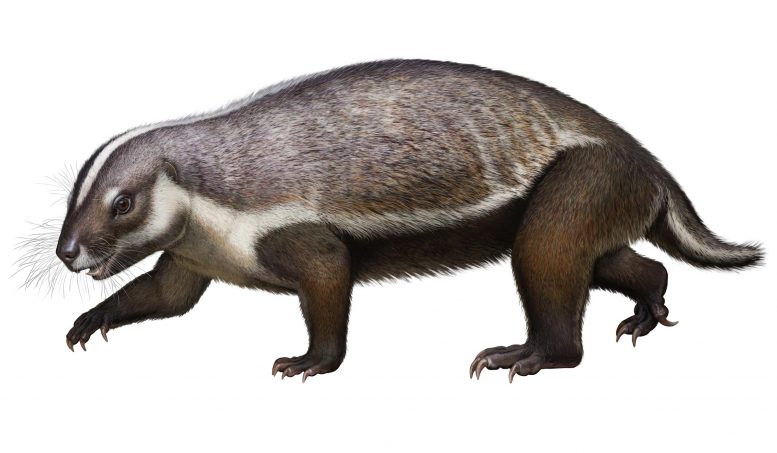 660万岁的“疯狂的野兽”在中生代马达加斯加讨论了