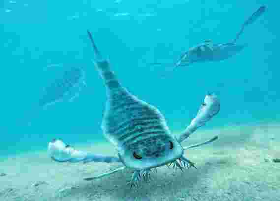 水下巨人：巨型海蝎–比人类大–是凶猛的海洋掠食者