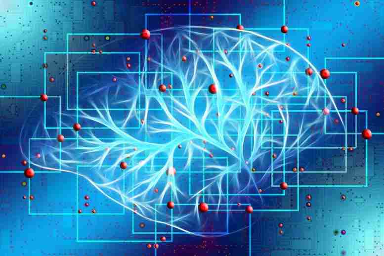 深入大脑：神经科学家发现大脑多任务网络的缺失部分