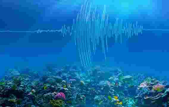 地震海洋温度计：深海地震带来的噪音为测量海洋变暖提供了新途径