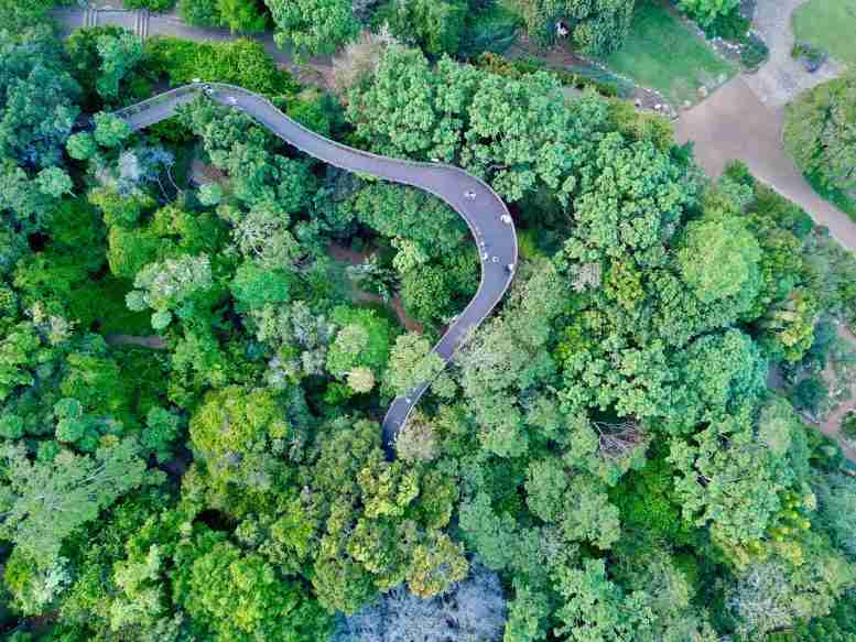 地球上生物多样性最多的地方：科学家发现了地球生物多样性热点背后的秘密