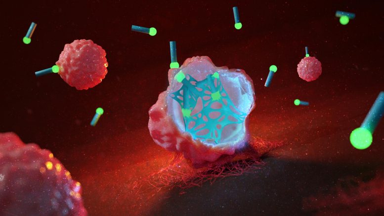 死亡网络：用分子纤维对抗癌症的新方法