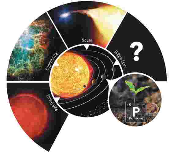宇宙中的生命种子：富含磷的恒星挑战理论预测