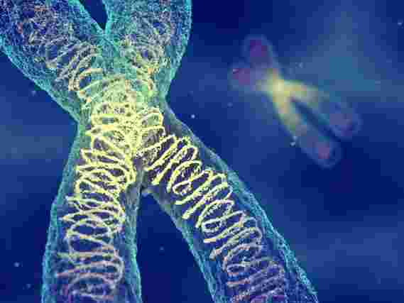 基因组学研究人员具有里程碑意义的成就：人类X染色体的第一个完整组装