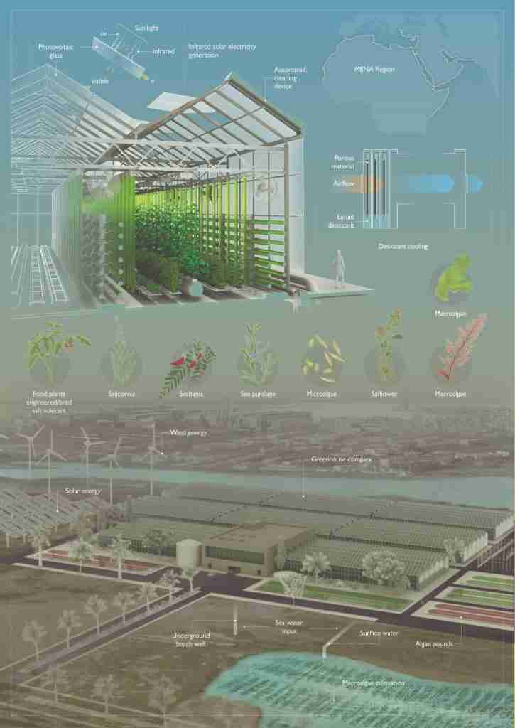 未来的温室提供沙漠增长机会