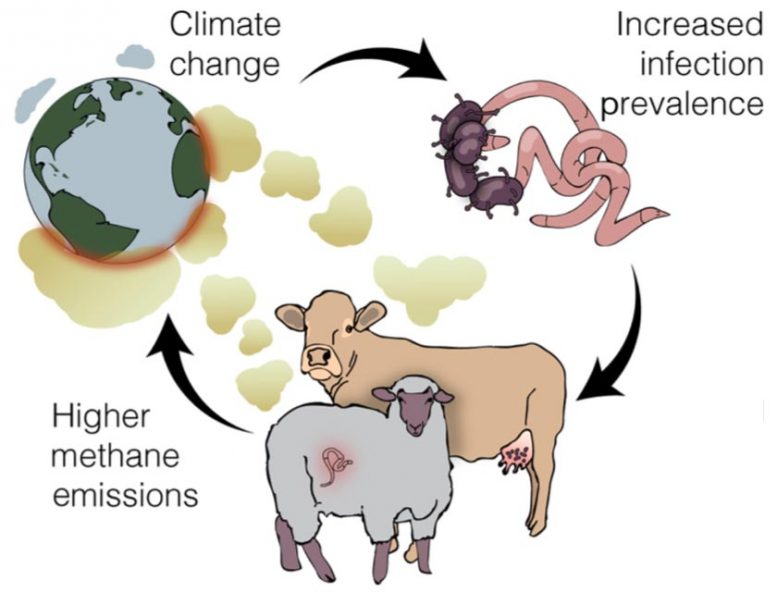 恶性循环：气候变化传播传染病，助长气候变化