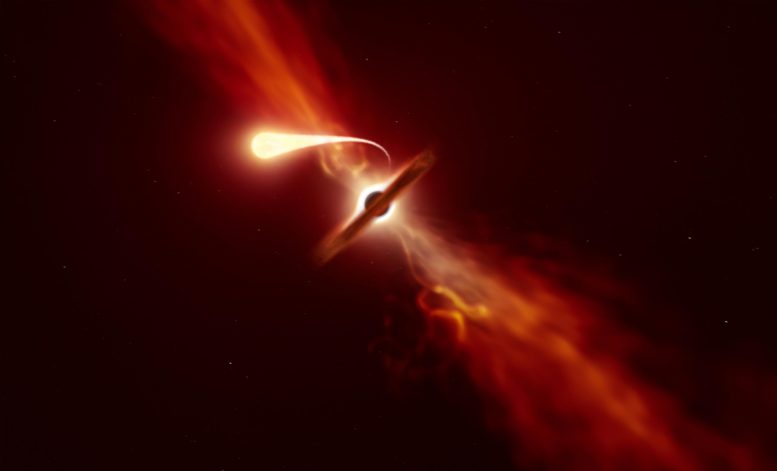 通过面漆前排座位到明星的死亡