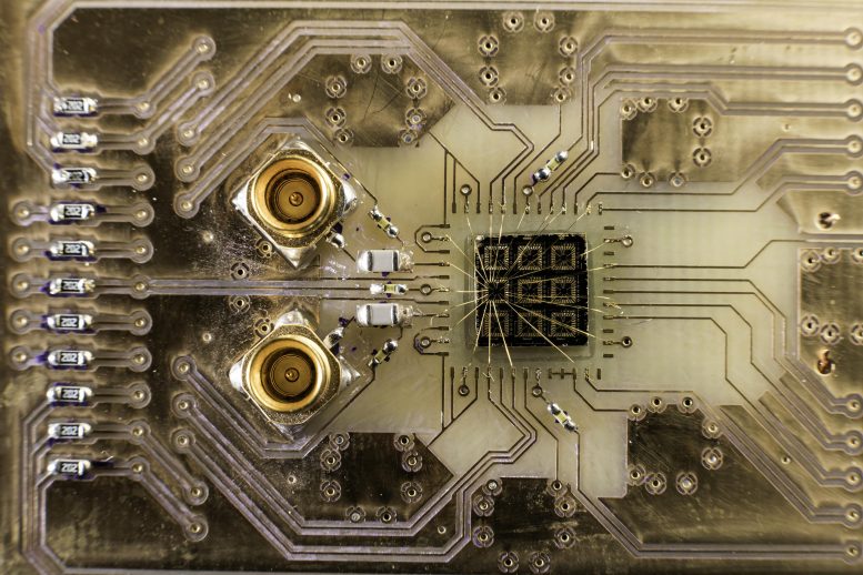 完美的能源效率：量子发动机与燃料缠结？