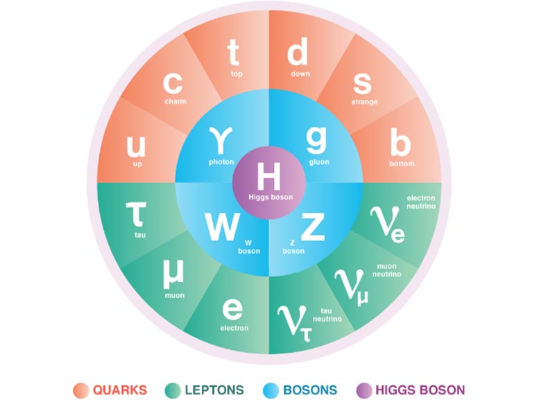 科学变得简单：粒子物理的标准模型是什么？